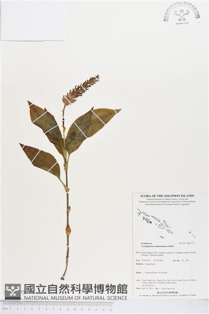 登錄號:BS03777藏品圖，第1張