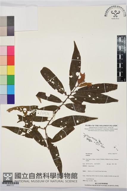 登錄號:BS07777藏品圖，第1張