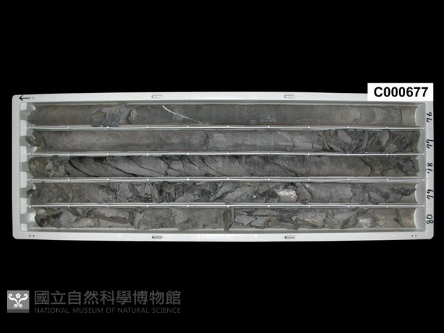 登錄號:C000677藏品圖，第1張