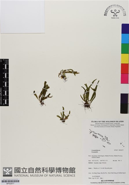 登錄號:BP02977藏品圖，第1張