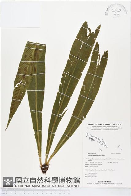 登錄號:BP00977藏品圖，第1張