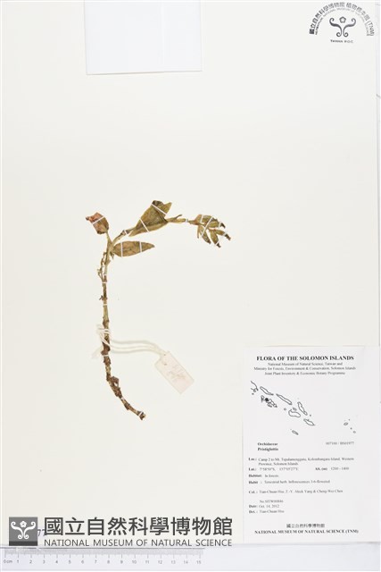 登錄號:BS01977藏品圖，第1張