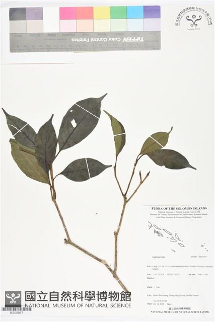 登錄號:BS05977藏品圖，第1張