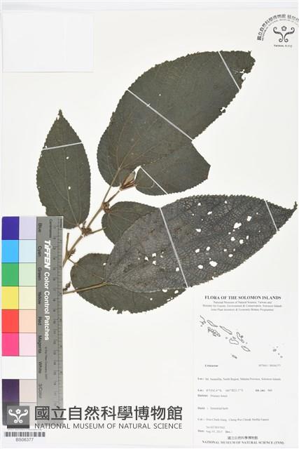 登錄號:BS06377藏品圖，第1張