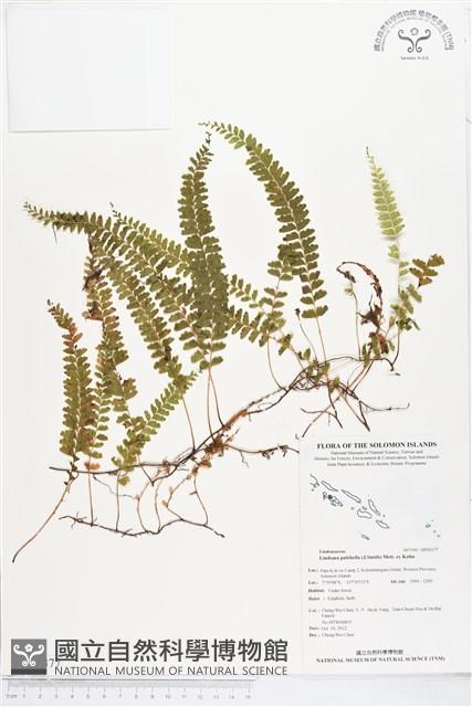 登錄號:BP00377藏品圖，第1張