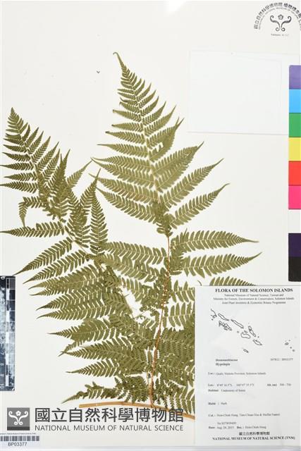 登錄號:BP03377藏品圖，第1張