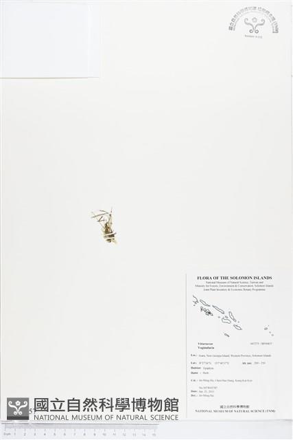 登錄號:BP00857藏品圖，第1張