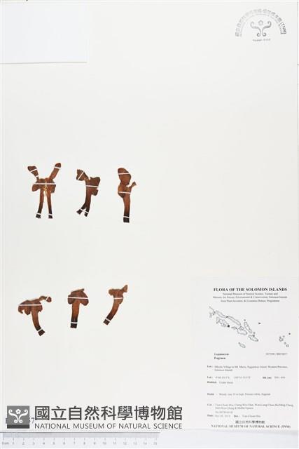 登錄號:BS03857藏品圖，第1張