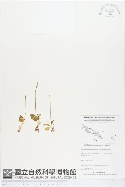登錄號:BP02057藏品圖，第1張