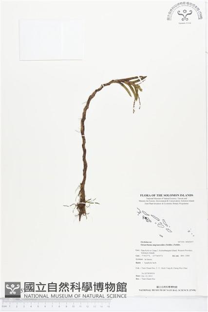 登錄號:BS02057藏品圖，第1張