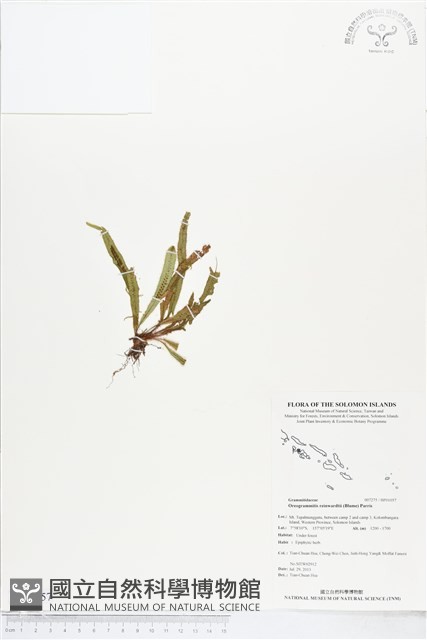 登錄號:BP01057藏品圖，第1張