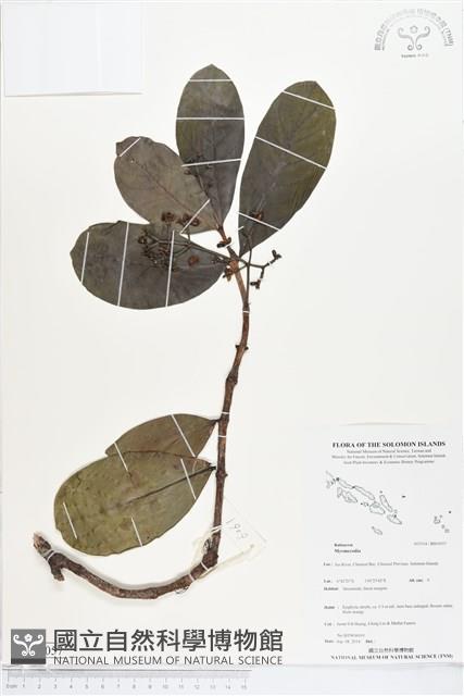 登錄號:BS05057藏品圖，第1張