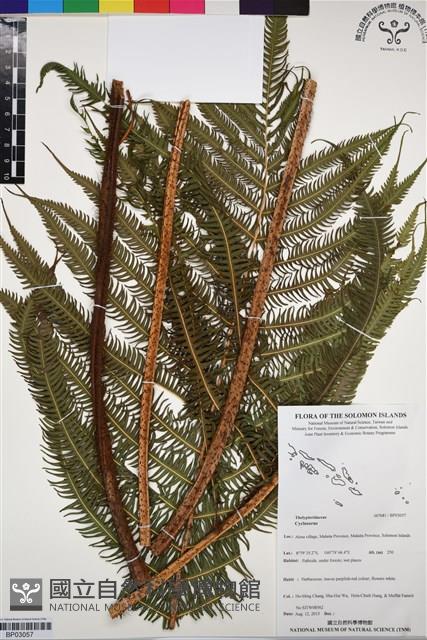 登錄號:BP03057藏品圖，第1張