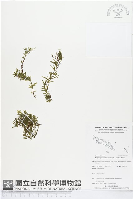 登錄號:BP01657藏品圖，第1張