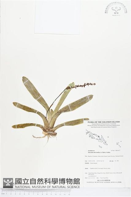 登錄號:BS04657藏品圖，第1張