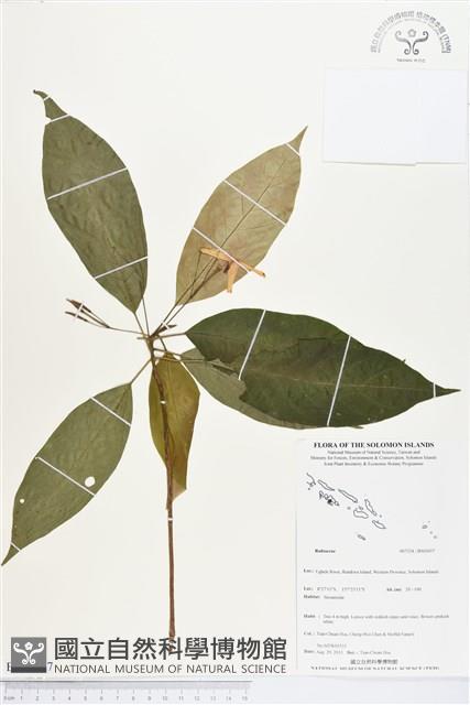 登錄號:BS03657藏品圖，第1張