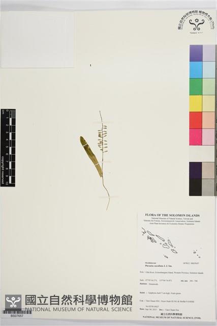 登錄號:BS07657藏品圖，第1張