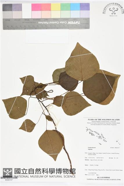 登錄號:BS06157藏品圖，第1張