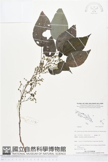 登錄號:BS05157藏品圖，第1張