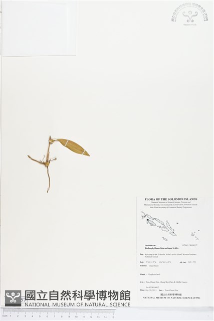 登錄號:BS04157藏品圖，第1張