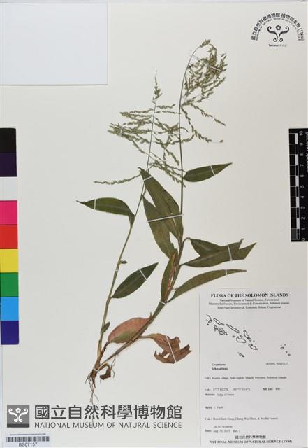 登錄號:BS07157藏品圖，第1張