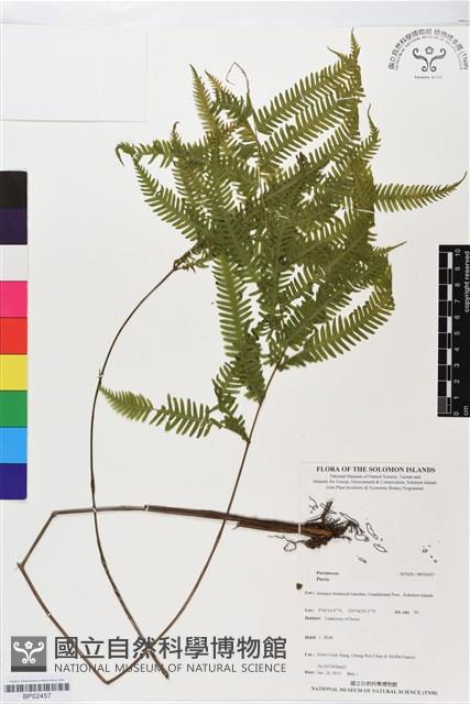 登錄號:BP02457藏品圖，第1張