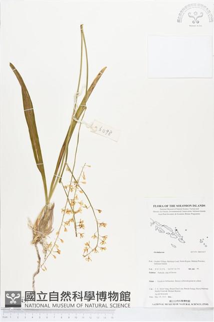 登錄號:BS05457藏品圖，第1張