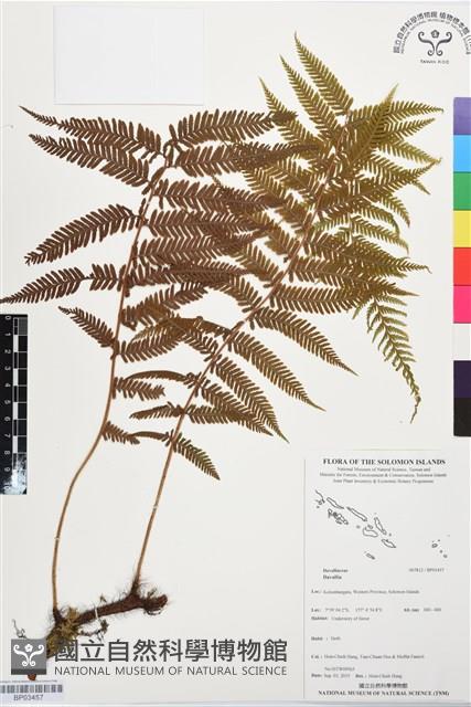 登錄號:BP03457藏品圖，第1張