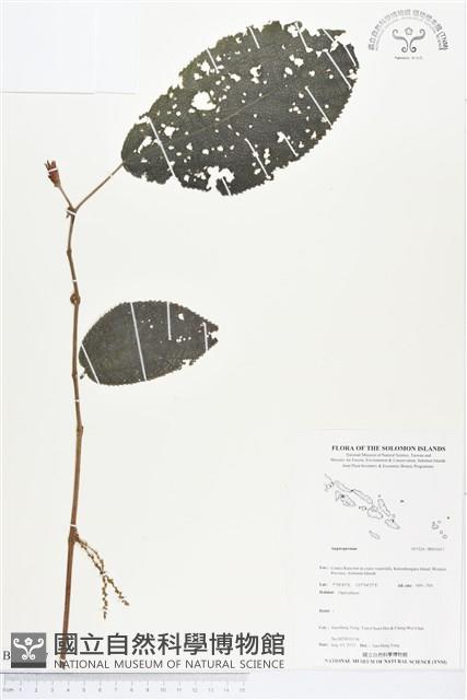 登錄號:BS03457藏品圖，第1張