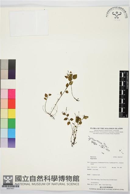 登錄號:BS07457藏品圖，第1張