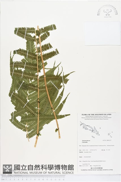 登錄號:BP02257藏品圖，第1張