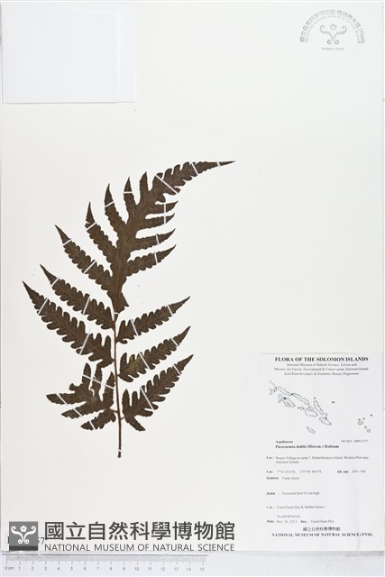 登錄號:BP01757藏品圖，第1張