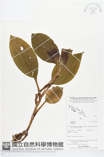 登錄號:BS03757藏品圖，第1張