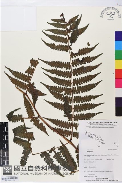 登錄號:BP02557藏品圖，第1張
