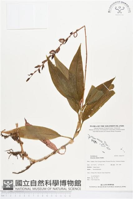 登錄號:BS01557藏品圖，第1張