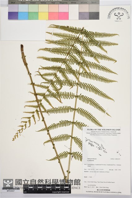 登錄號:BP03557藏品圖，第1張