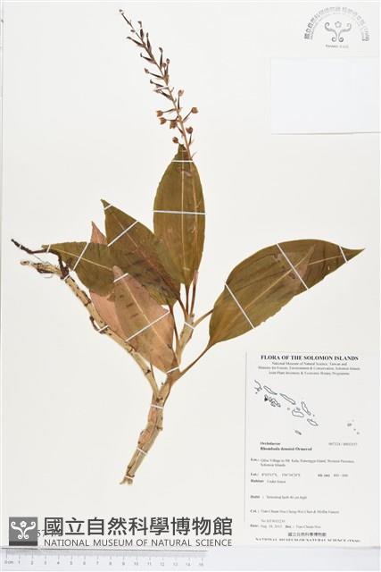 Accession Number:BS03557 Collection Image, Figure 1, Total 2 Figures