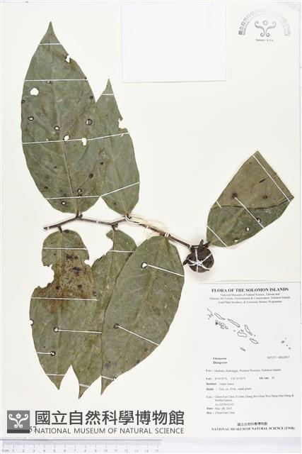 登錄號:BS02957藏品圖，第1張