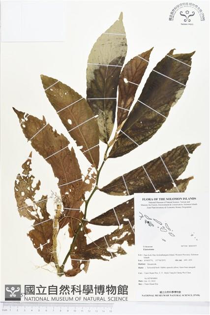 登錄號:BS01957藏品圖，第1張