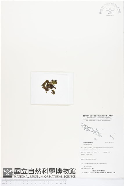 登錄號:BP02357藏品圖，第1張