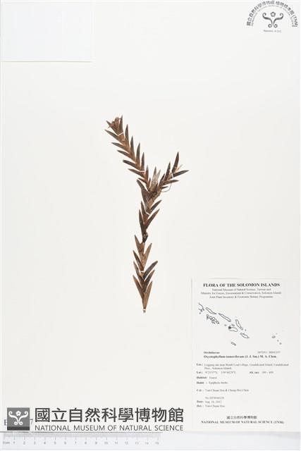 登錄號:BS01357藏品圖，第1張