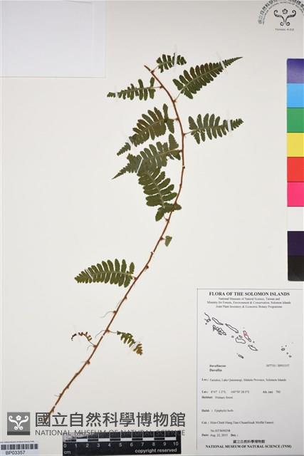 登錄號:BP03357藏品圖，第1張