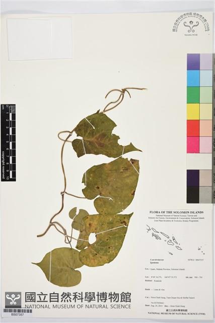 登錄號:BS07357藏品圖，第1張