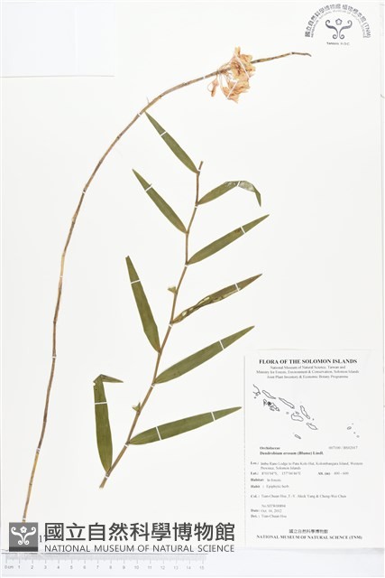 登錄號:BS02017藏品圖，第1張