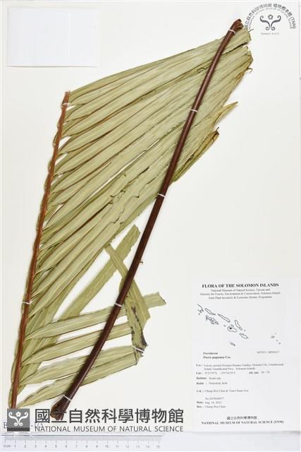 登錄號:BP00017藏品圖，第1張