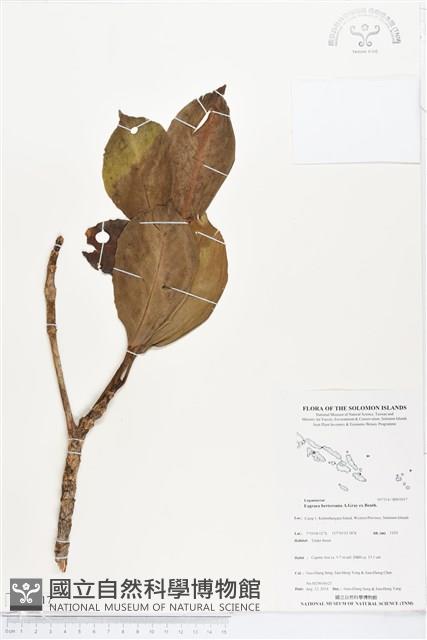 登錄號:BS05017藏品圖，第1張