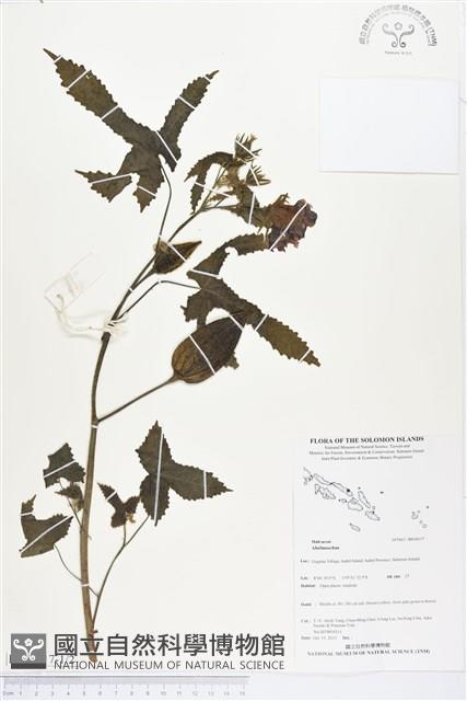 登錄號:BS04017藏品圖，第1張