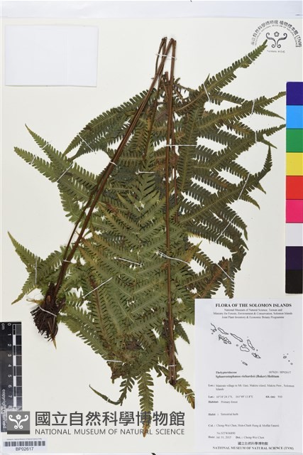 登錄號:BP02617藏品圖，第1張