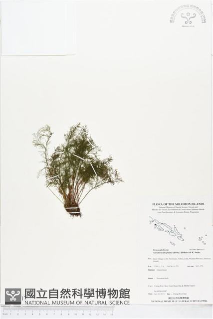 登錄號:BP01617藏品圖，第1張