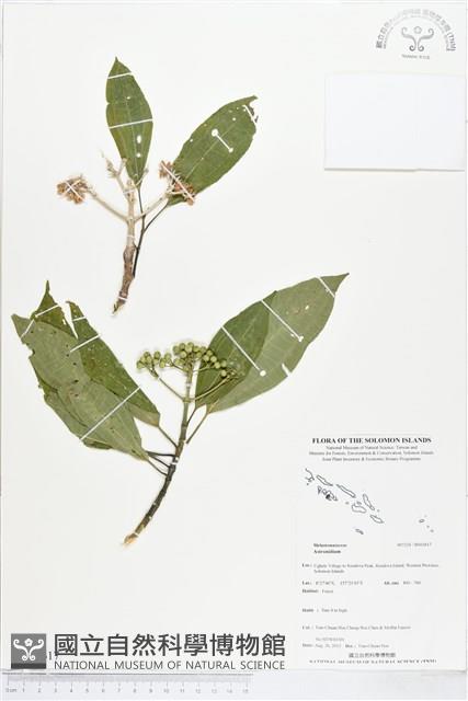 登錄號:BS03617藏品圖，第1張